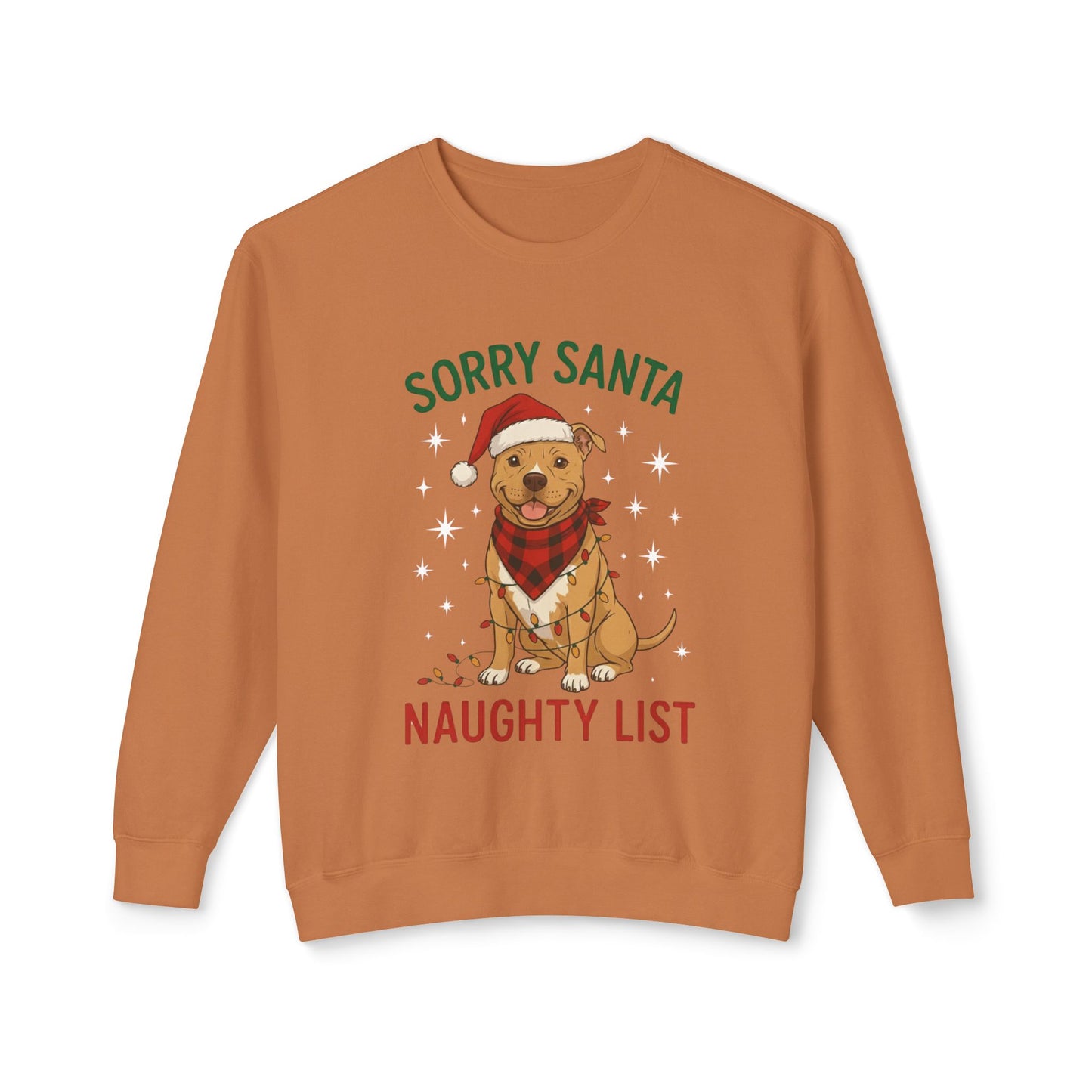 Big Red 365 Lightweight Crewneck Sweatshirt | Everyday Comfort