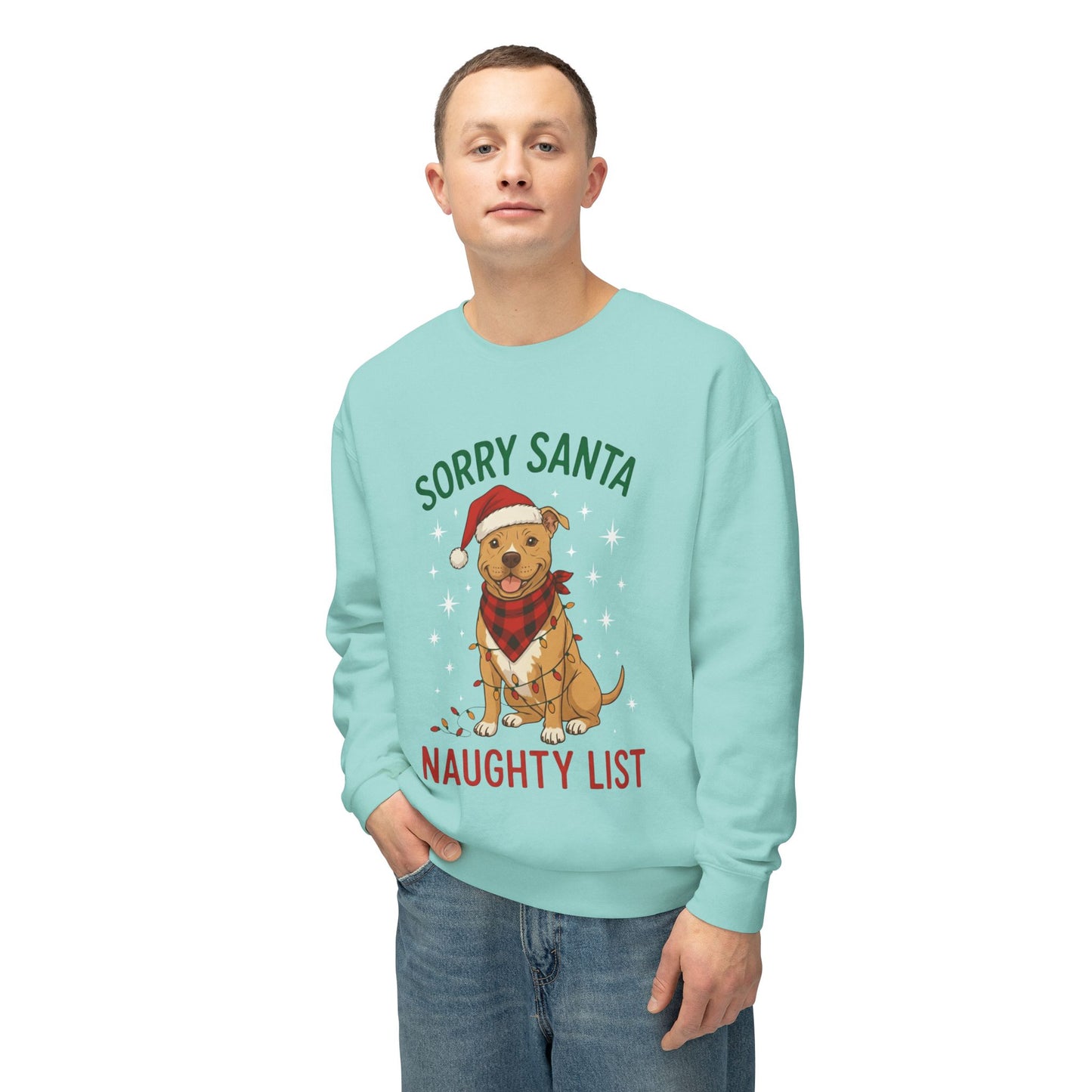 Big Red 365 Lightweight Crewneck Sweatshirt | Everyday Comfort